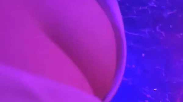 莎莎舞夜生活!性感舞娘火辣合集 热舞挑逗炸裂全场 完美诠释了夜生活的极致魅力!